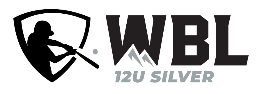 12U Silver Logo