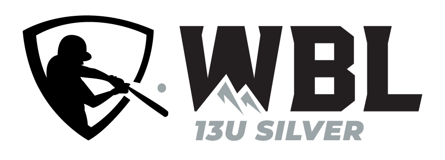 13U Silver Logo